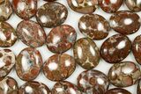 Polished King Cobra Orbicular Jasper Pocket Stones - Photo 2